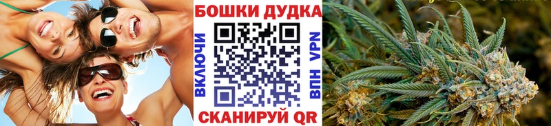 Шишки марихуана OG Kush Купить где Сенгилей